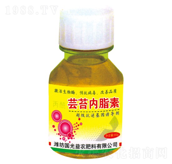 �|̦��֬��-�������r