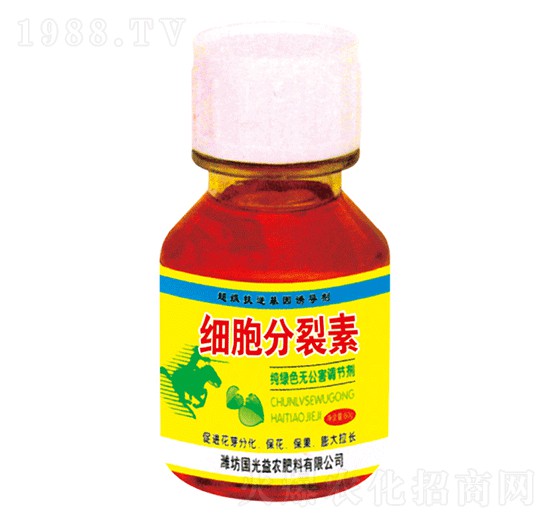 60g����������-�������r(n��ng)