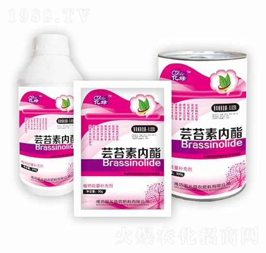 蕓苔素內(nèi)酯組合-國光益農(nóng)