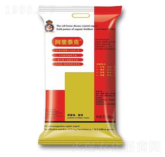 �_���������-����̩��-���A��