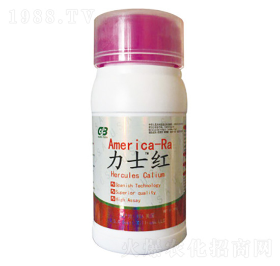 ��ʿ�t-���A��