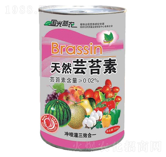 ��Ȼ�|̦��-��(gu��)�����r(n��ng)