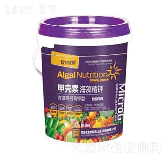 �ך��غ��徫�-���_