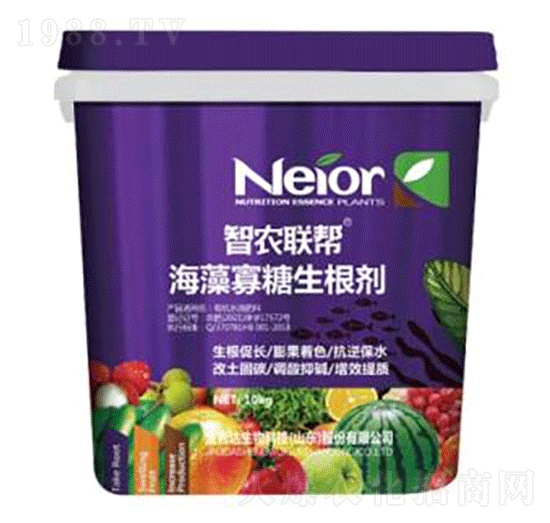 �������������-���_