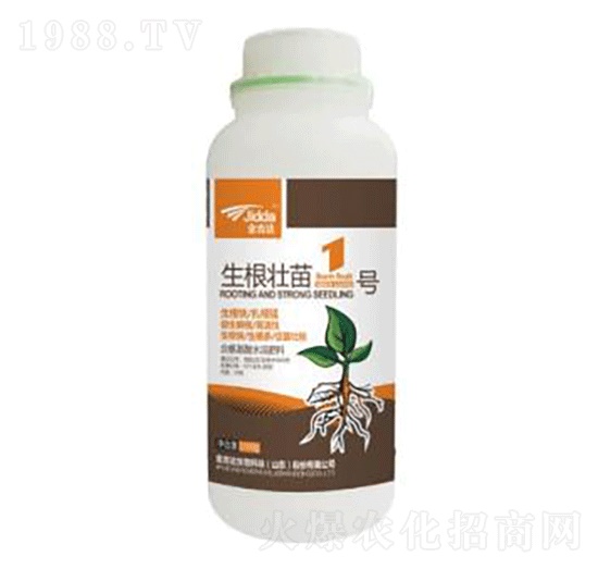 生根壯苗1號(hào)-金吉達(dá)