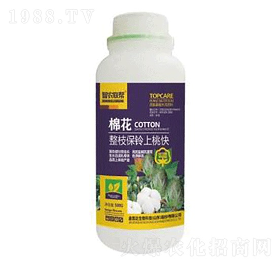 �޻���֦������ҿ�-���_