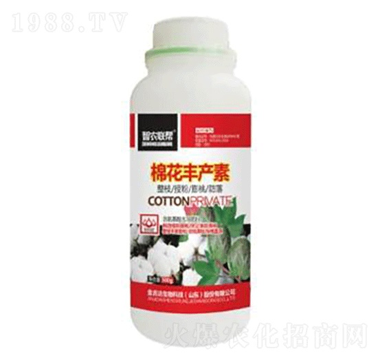 �޻��S�a��-���_