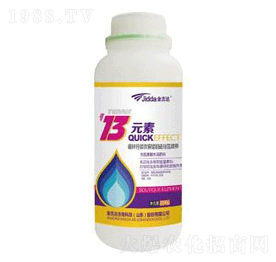 ʮ��Ԫ��-���_