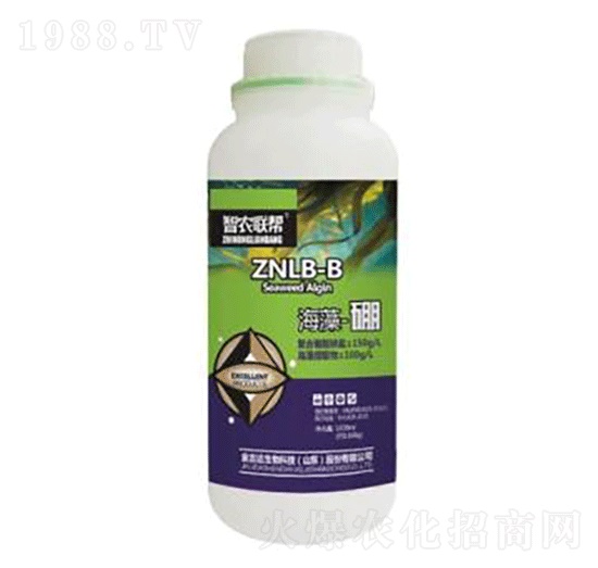 ������-���_