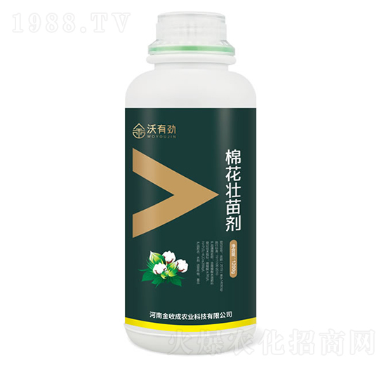 �޻����焩-���Є�-���ճ�