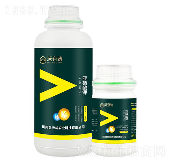 ������⛣��M�ϣ�-���Є�-���ճ�