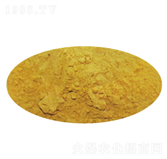 ������-ɽ�|����