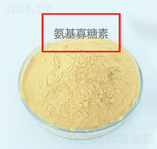 �r�ð���������-ɽ�|����