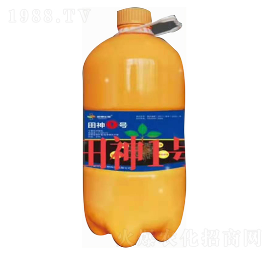 ����0̖-��������