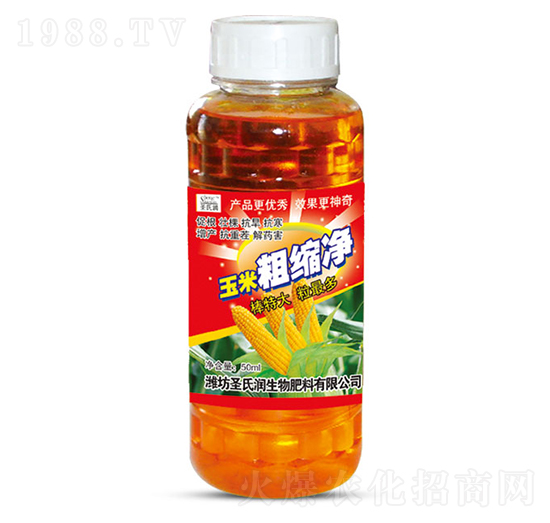 ���״ֿs��-ʥ�ϝ�