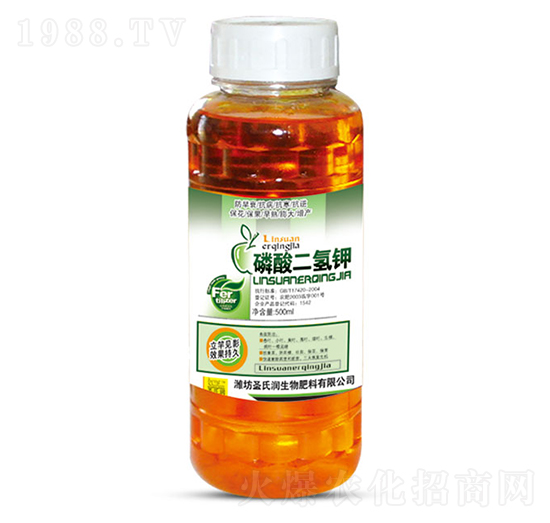 ��������-ʥ�ϝ�(r��n)