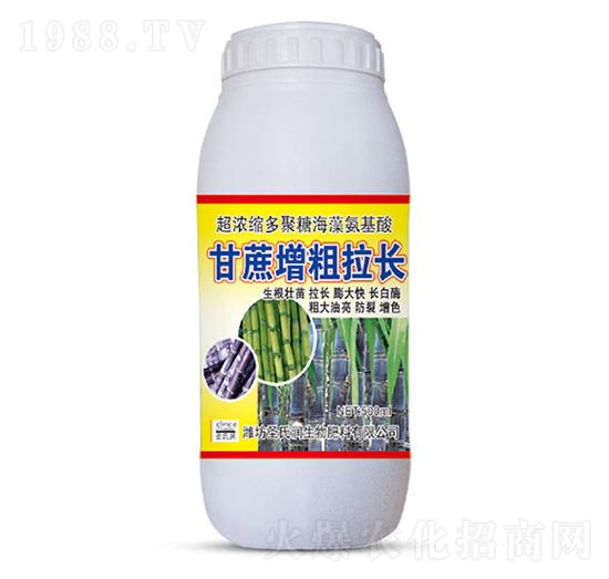 500ml�����������L(zh��ng)-ʥ�ϝ�(r��n)