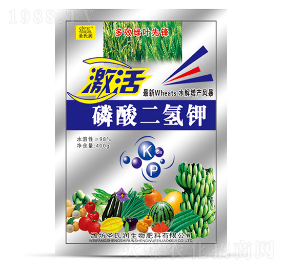 400g��������-����-ʥ�ϝ�