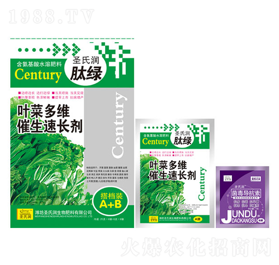 �~�˶�S�������L(zh��ng)��-ʥ�ϝ�(r��n)