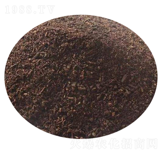 ������ЙC��-��ʢ�ʘI(y��)