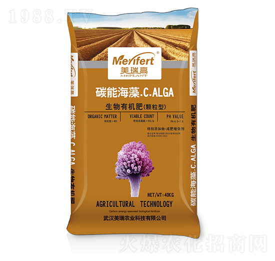 ̼�ܺ����-�����r�I(y��)