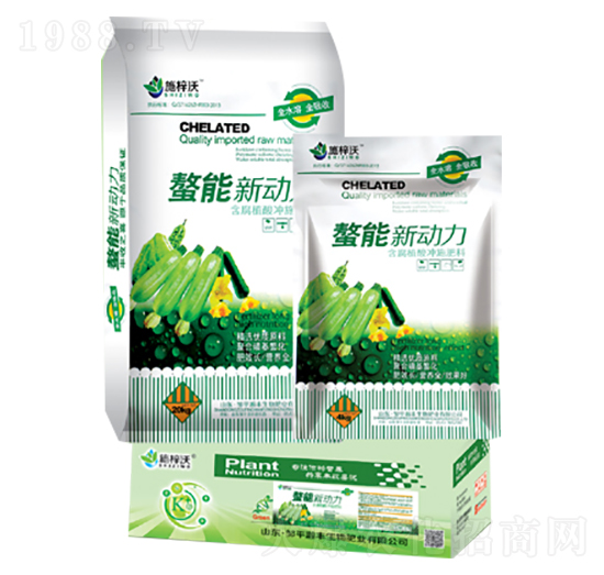 ������(d��ng)��-��S����