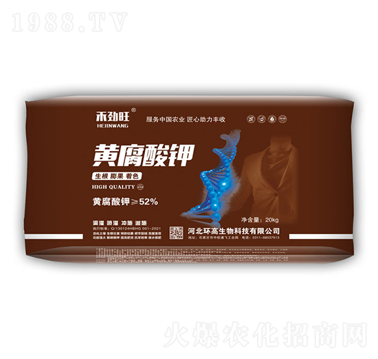 �S�����-�̄���-�h(hu��n)������