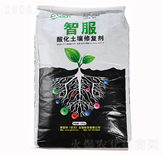 �ữ�����ޏ�(f��)��-�Ƿ�-ِ����