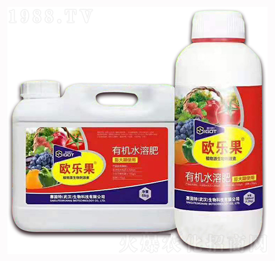 С���������ÚW����-ِ����