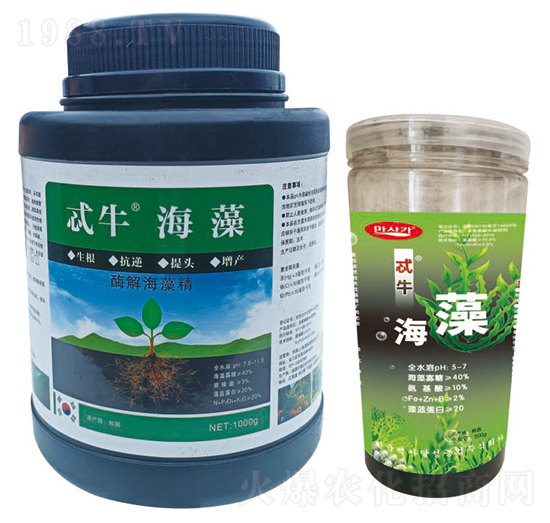 ø�⺣�徫-߯ţ����-�A��