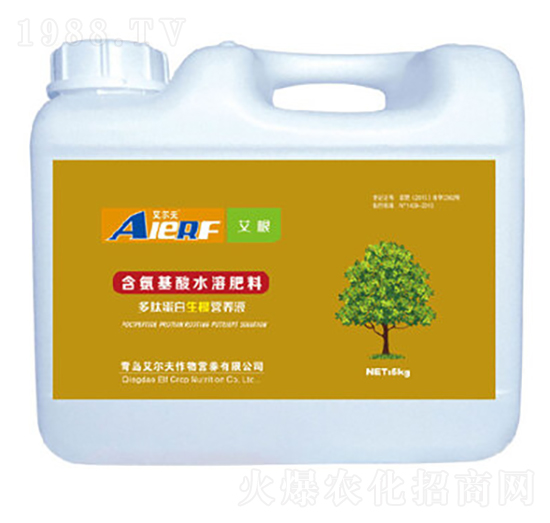 ���ĵ��������I(y��ng)�B(y��ng)Һ-����-������