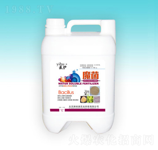 ħ��-��ԣ��