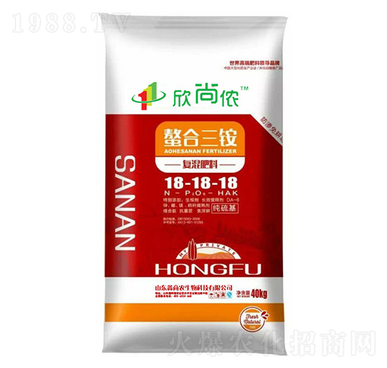 �������(f��)�����18-18-18-�������@-���Ѓz