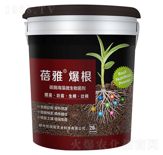 ̼ø����΢�������-���ű���-�P��˹