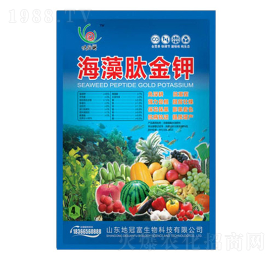 �����Ľ��-�عڸ�