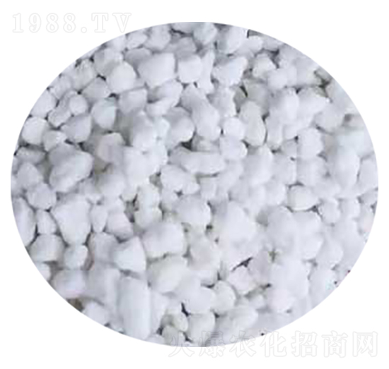 �ͺϷ���-�����o�ʘI(y��)