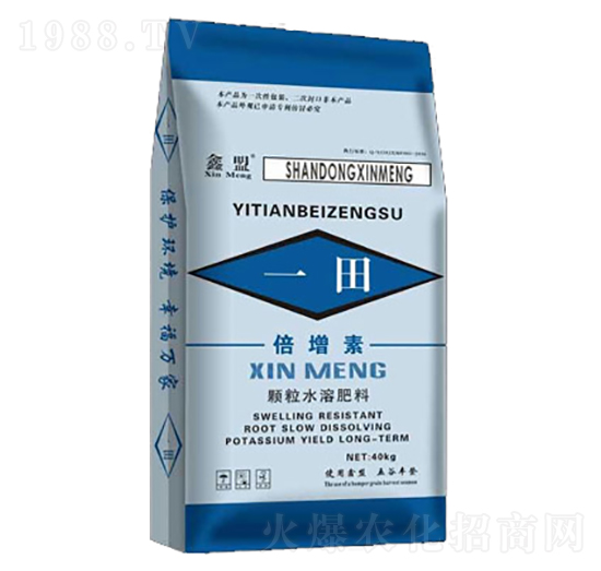 ������-һ��-�����o(j��)�ʘI(y��)