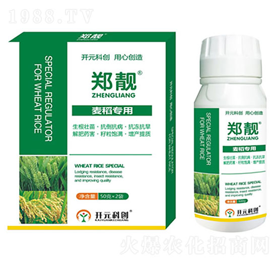 ��������-���n-����ֲ��