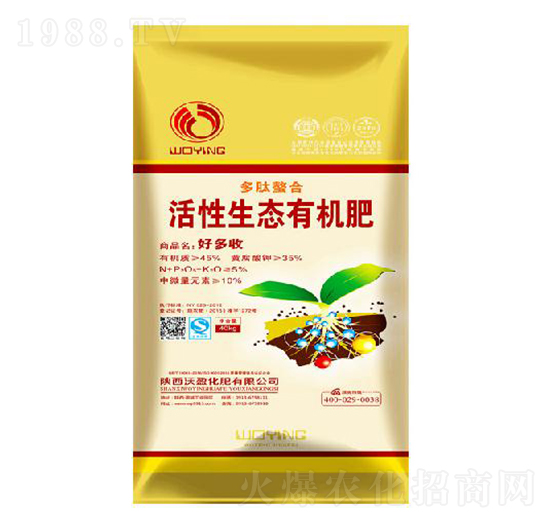 �������ϻ������B(t��i)�ЙC��-��ӯ����