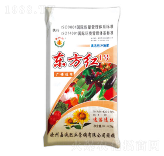 �|���t1̖-����-�|���t