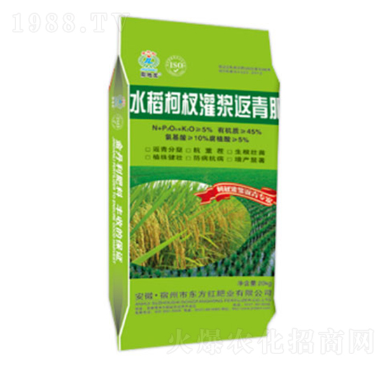 ˮ����边��{�����-�|���t