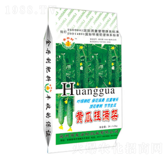 �S�ϒ�M(m��n)��-�|���t