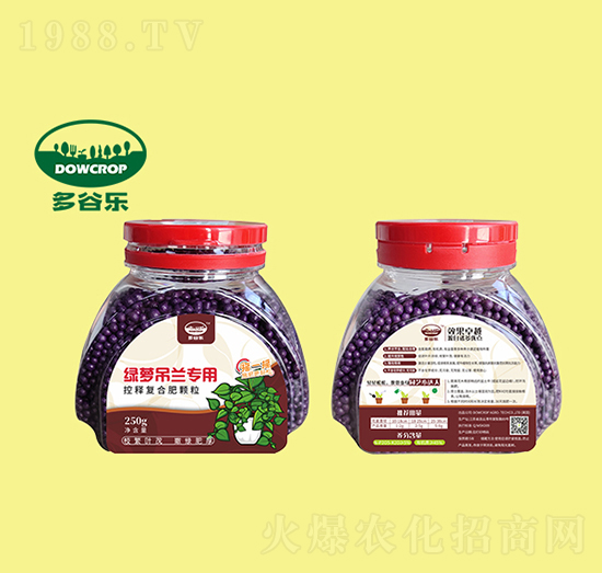 綠籮吊蘭專(zhuān)用肥-多谷樂(lè)