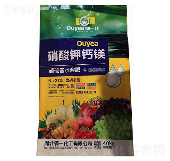 ������}�V��-��һ����