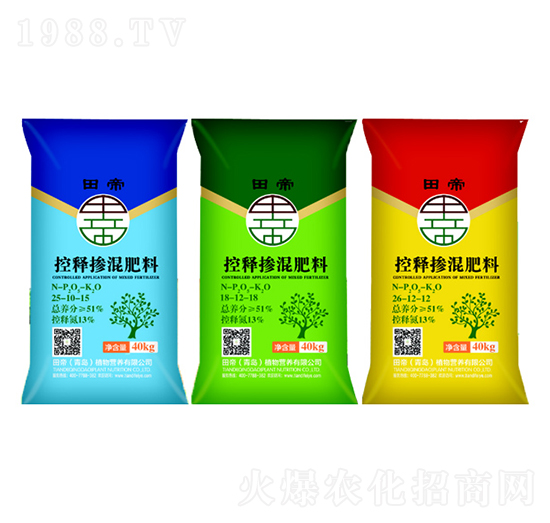 ��ጓ������-���