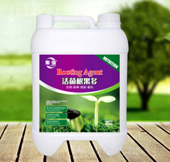 ���������-�\�����Q��