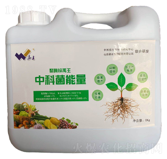 �пƾ�����-���r(n��ng)����