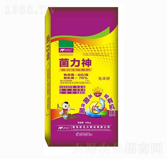 �ͺ��������-������-������ʘI(y��)