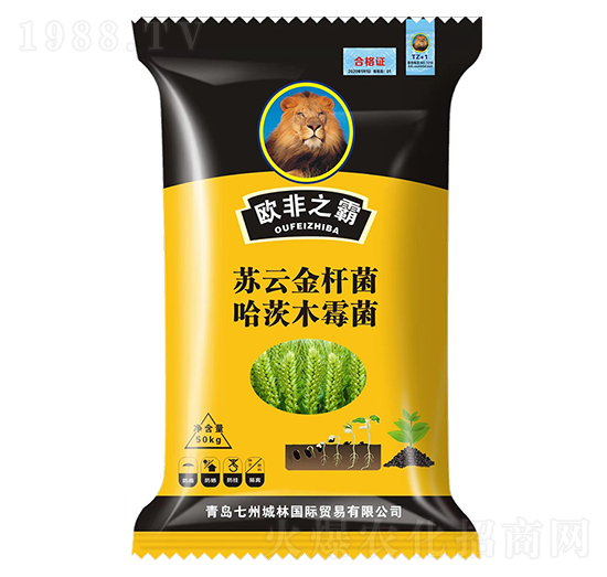 С���طN��-�W��֮��-���ݳ���