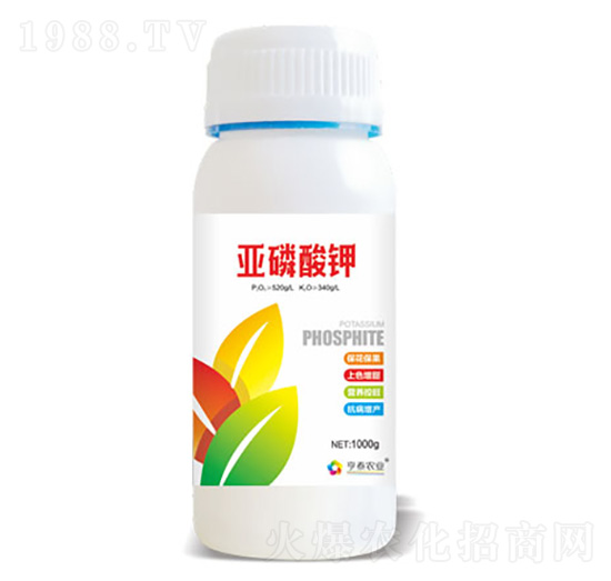 �������-��̩�r(n��ng)�I(y��)